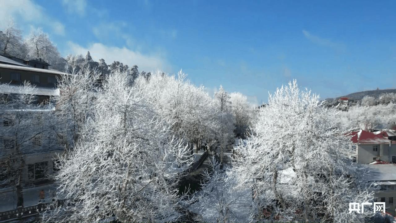 热点生活 第427页