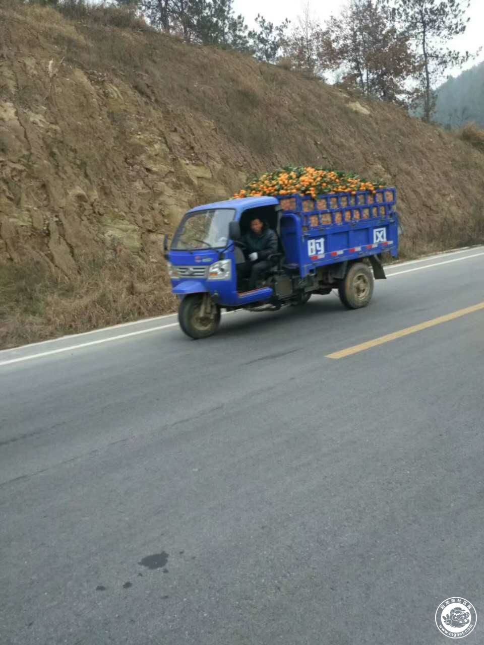 oヤ伪你变乖 第5页