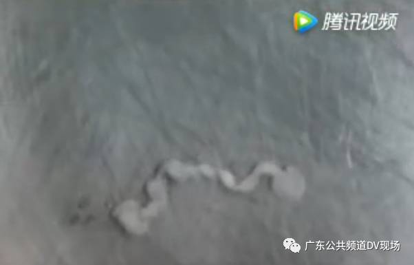 你很爱吃凉皮 第5页