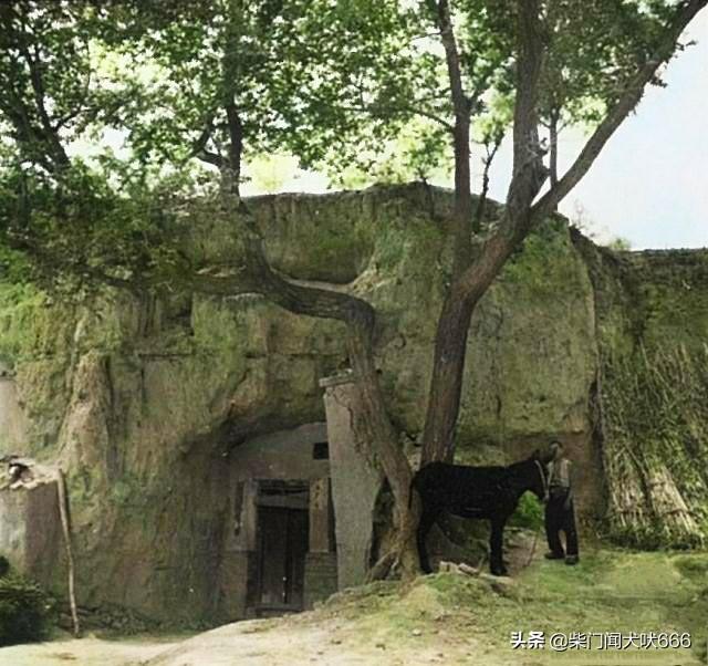 纸上的梦境   第3页