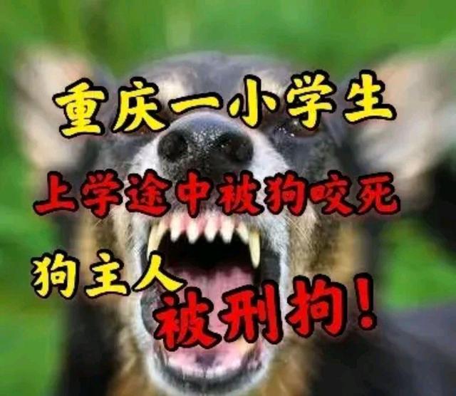 地方新闻 第291页