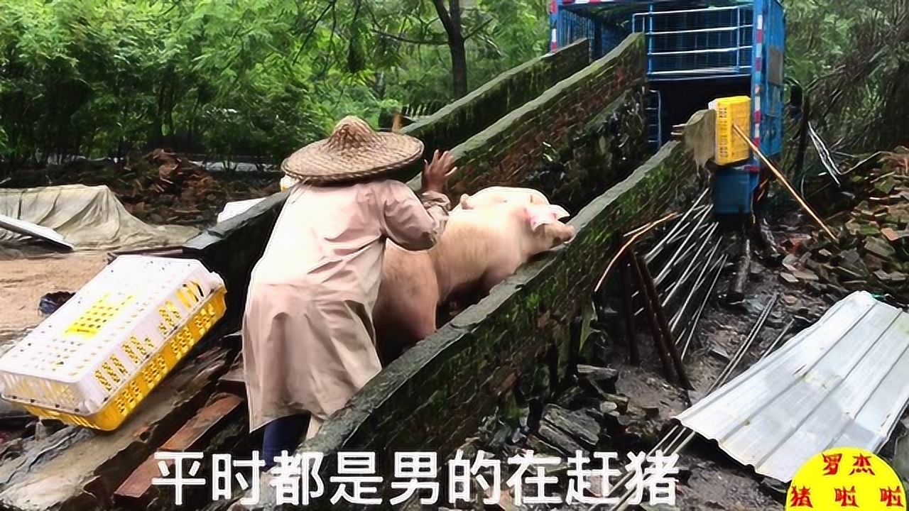 _永恒灬莫言 第3页