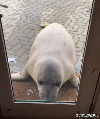ご死灵メ裁决ぃ 第3页