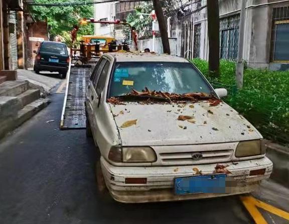 旋转木马   第2页