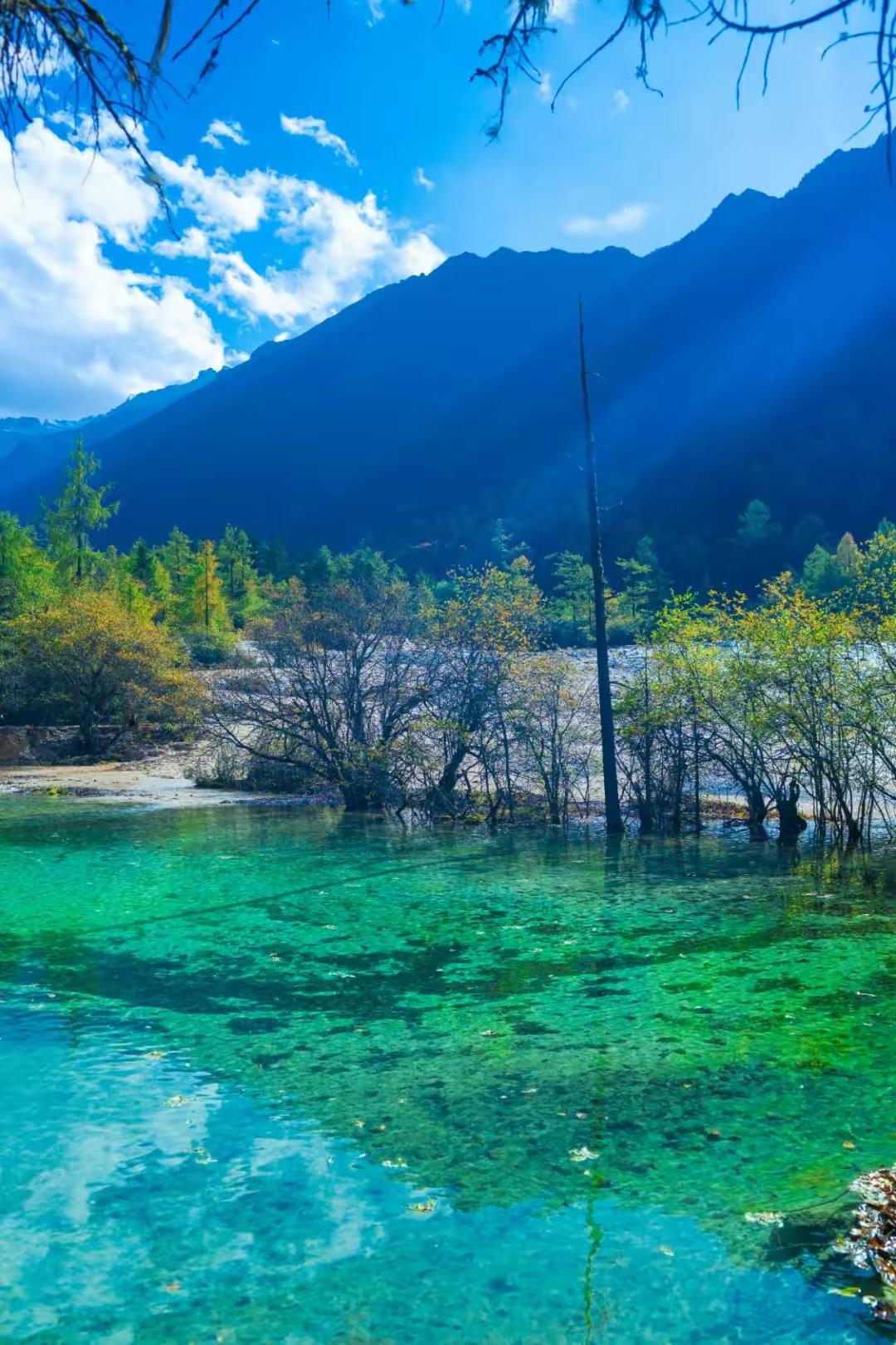 霸気_冷却℡ 第2页