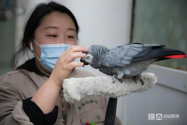随遇而安 第2页