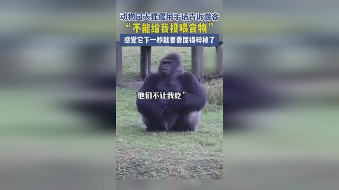 婧婧的旋转