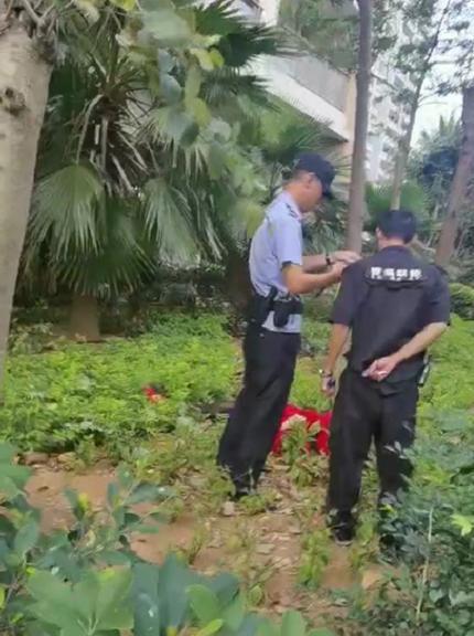港澳新闻 第3页