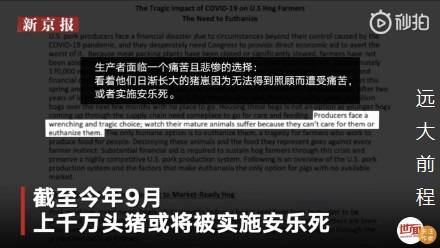英国安乐死或将合法，社会热议与伦理挑战