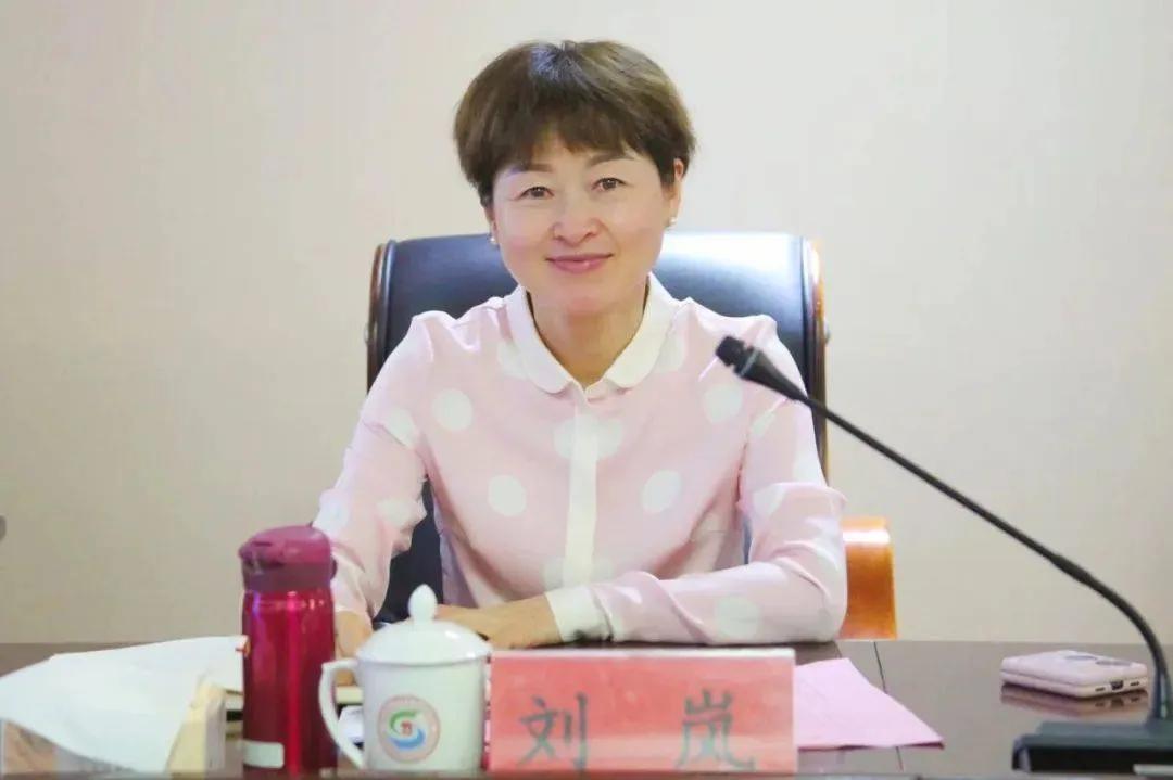 海南省委秘书长被查背后的故事